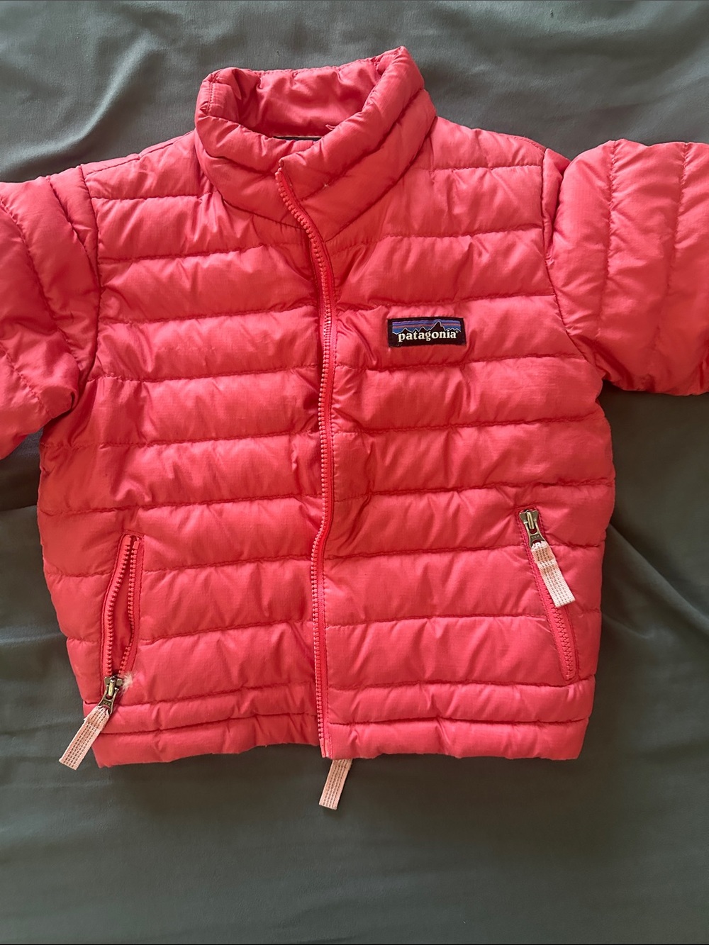 Patagonia Hot Pink Quilted Down Jacket